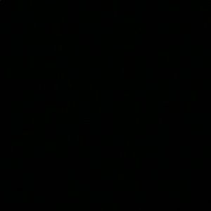 Meet your Posher, Britt